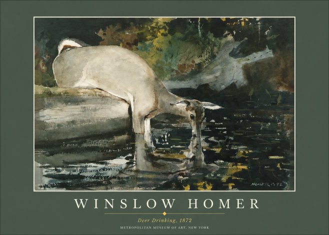 Winslow Homer Deer Drinking No2 - Póster
