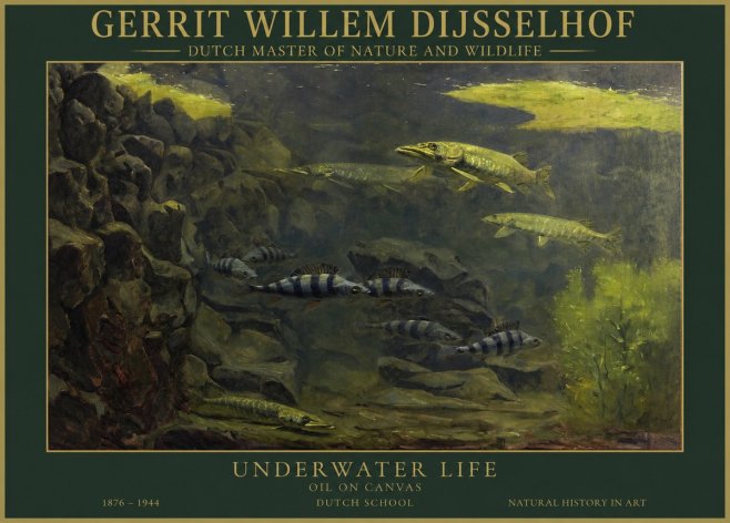 Gerrit Willem Dijsselhof Underwater Life No1 - Póster