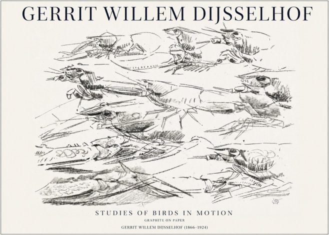 Gerrit Willem Dijsselhof Studies of Birds in Motion No1 - Póster