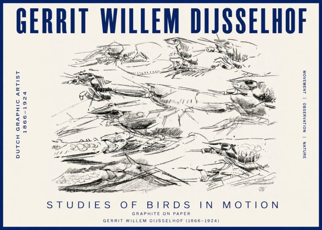 Gerrit Willem Dijsselhof Studies of Birds in Motion No3 - Póster