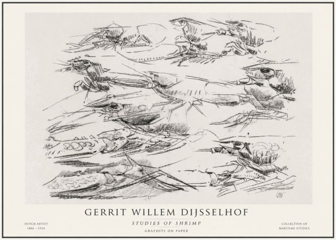 Gerrit Willem Dijsselhof Studies of Birds in Motion No6 - Póster