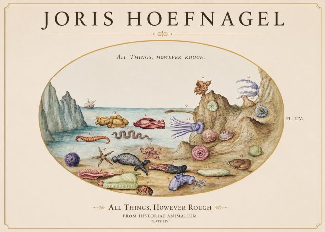 Joris Hoefnagel Totvs Echinvs Asper. Plate Liv No2 - Póster