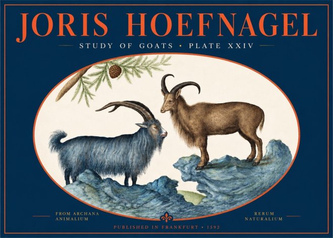 Joris Hoefnagel Two Mountain Goats from the Series Quadrupeds No3 - Póster