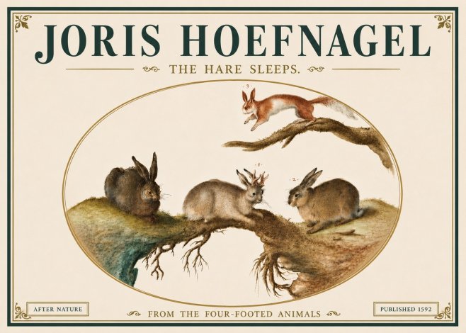 Joris Hoefnagel Lepvs Dormit No6 - Póster