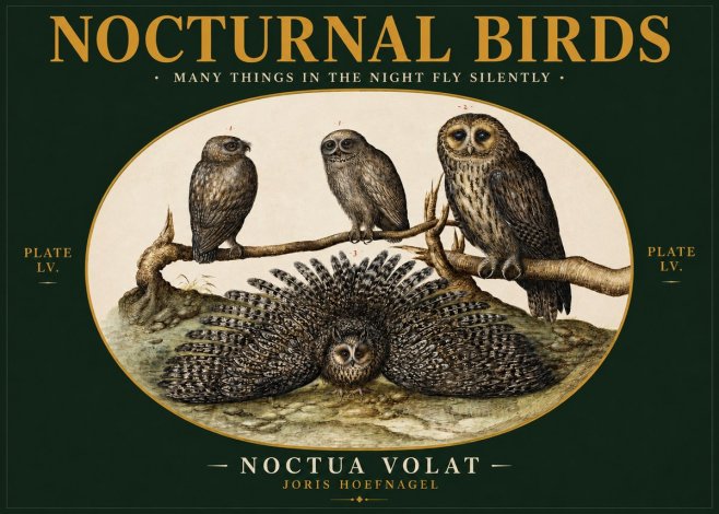 Joris Hoefnagel Noctva Volat No3 - Póster