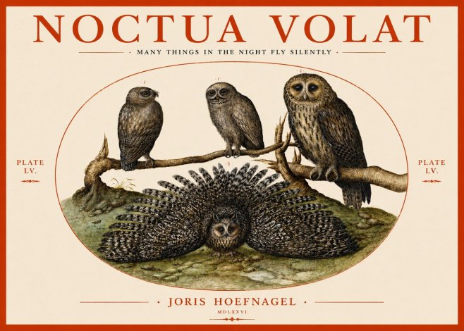 Joris Hoefnagel Noctva Volat No4 - Póster