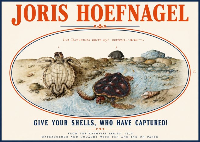 Joris Hoefnagel Two Turtles in a Stream No4 - Póster