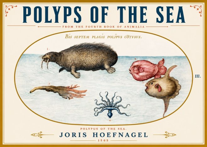 Joris Hoefnagel Polyps of the Sea No5 - Póster