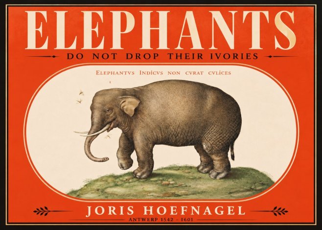 Joris Hoefnagel Elephant Does Not Drop Its Ivories No2 - Póster