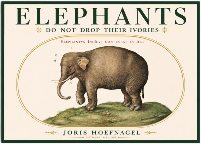 Joris Hoefnagel Elephant Does Not Drop Its Ivories No3 - Póster