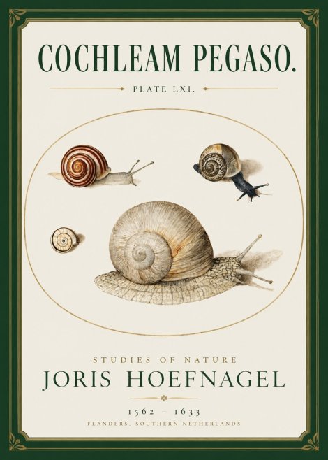 Joris Hoefnagel The Four Snails No3 - Póster