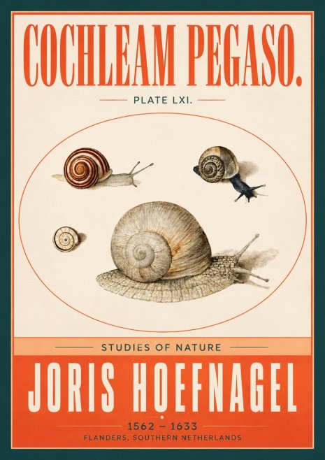 Joris Hoefnagel The Four Snails No4 - Póster