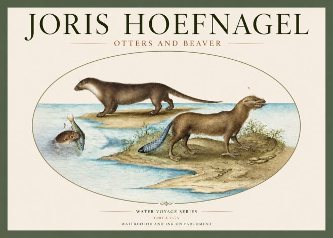 Joris Hoefnagel The Four-footed Creatures No3 - Póster