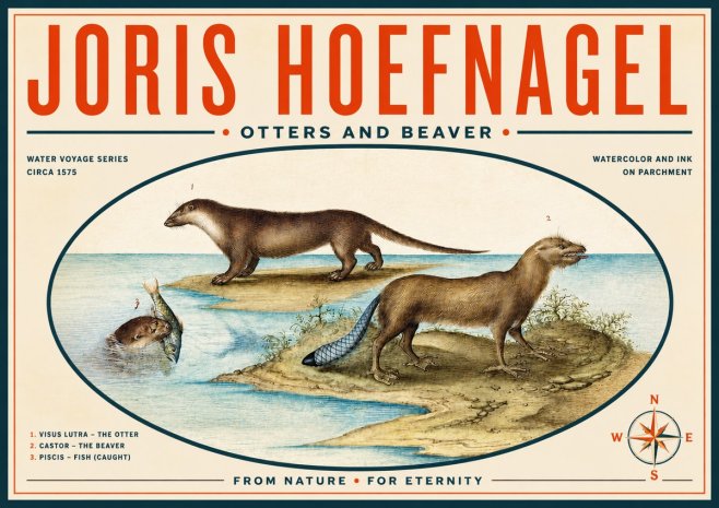 Joris Hoefnagel The Four-footed Creatures No6 - Póster