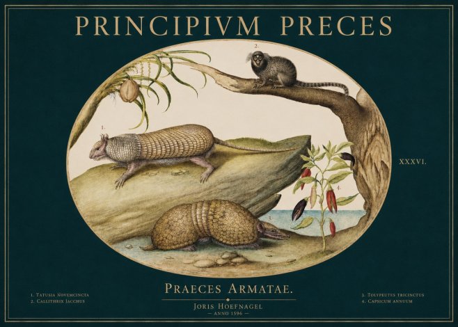 Joris Hoefnagel Praeces Armatae. No3 - Póster