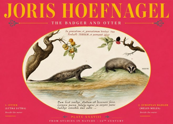 Joris Hoefnagel Studies of Animals and Nature Xxxxiii No6 - Póster