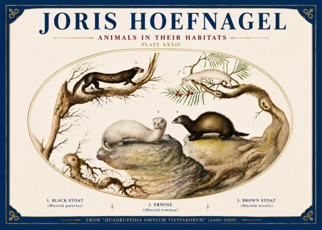 Joris Hoefnagel Animals in Their Habitats Plate Xxxiv No6 - Póster