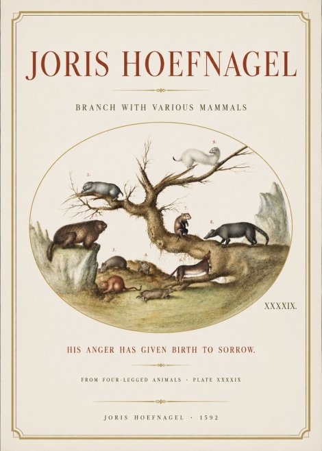 Joris Hoefnagel Branch with Various Mammals No3 - Póster