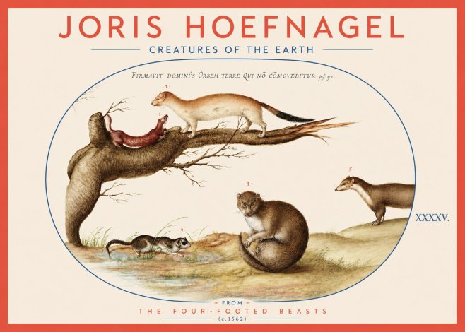 Joris Hoefnagel Creatures of the Earth I No3 - Póster