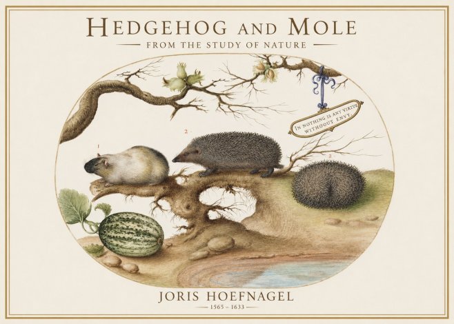 Joris Hoefnagel Hedgehog and Mole No1 - Póster