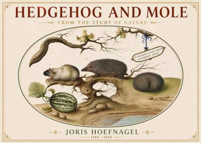 Joris Hoefnagel Hedgehog and Mole No5 - Póster