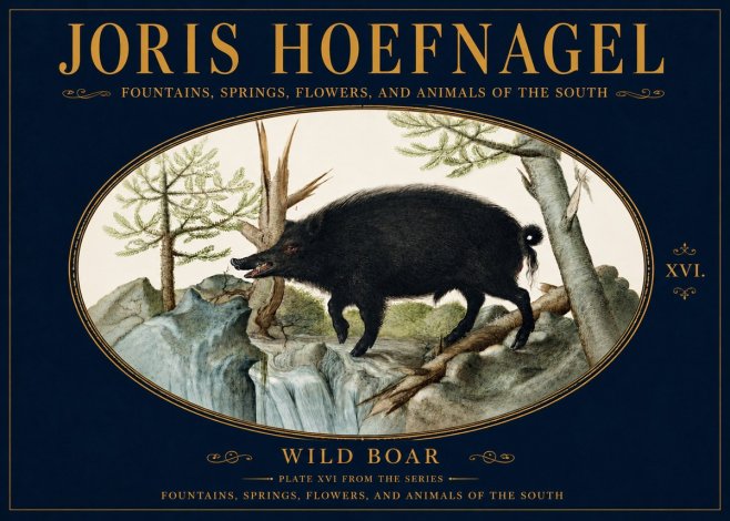 Joris Hoefnagel Fountains, Springs, Flowers, and Animals of the South - Plate Xvi No5 - Póster