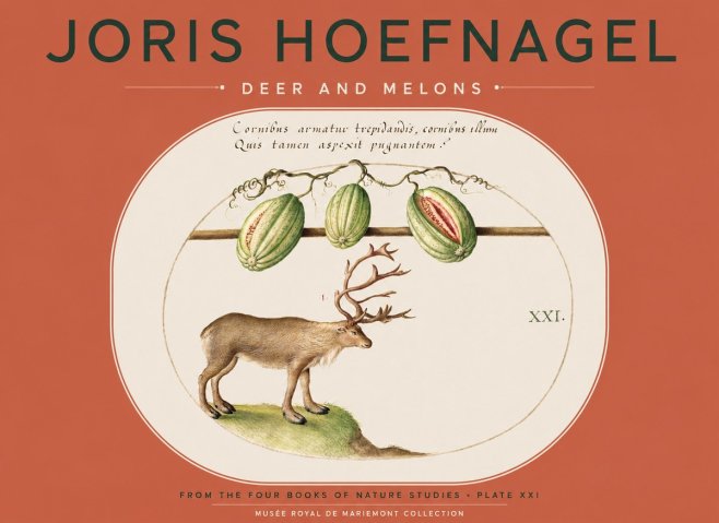 Joris Hoefnagel Arctic Nature Study No5 - Póster