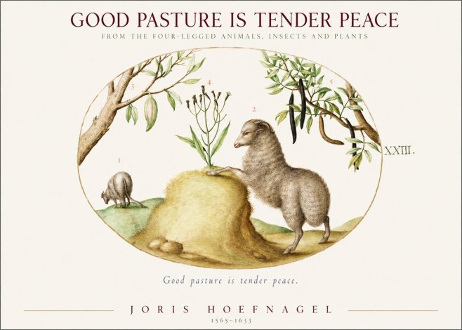 Joris Hoefnagel Good Pasture Is Tender Peace. No1 - Póster