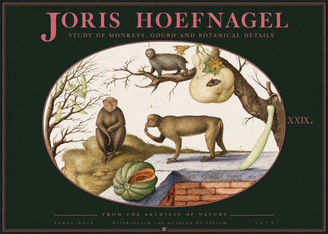 Joris Hoefnagel But Always a Monkey, Always a Monkey. Plate Xxix No3 - Póster