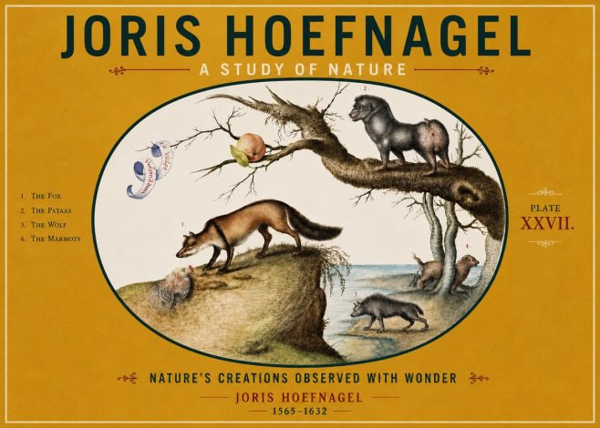 Joris Hoefnagel A Study of Nature - Plate Xxvii No4 - Póster