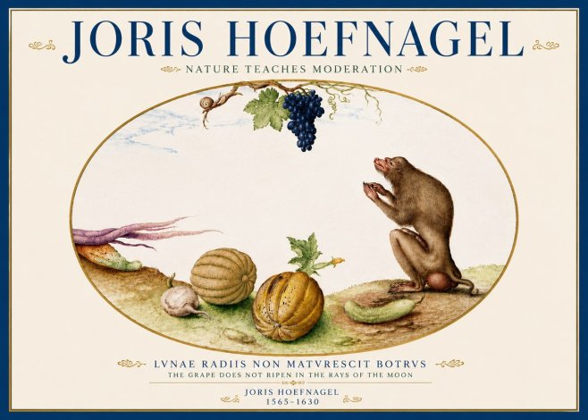Joris Hoefnagel Nature Teaches Moderation No5 - Póster