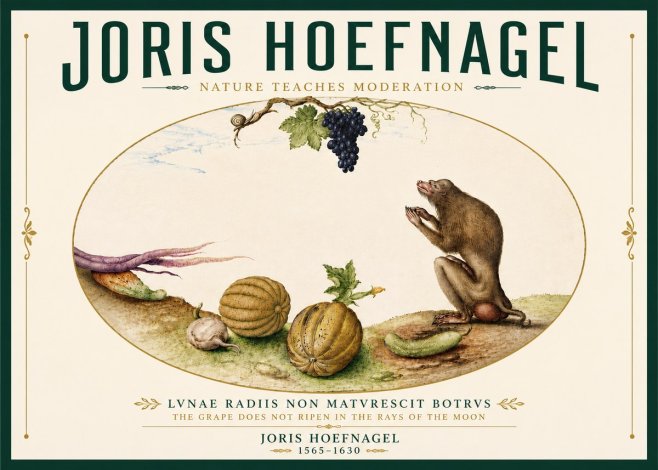 Joris Hoefnagel Nature Teaches Moderation No6 - Póster