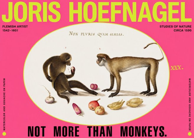 Joris Hoefnagel Not More Than Monkeys No2 - Póster