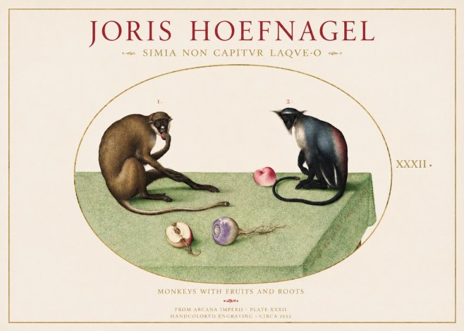 Joris Hoefnagel Monkeys with Fruits and Roots No1 - Póster