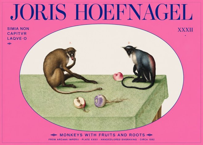 Joris Hoefnagel Monkeys with Fruits and Roots No2 - Póster
