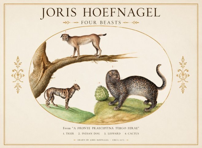 Joris Hoefnagel Four Beasts No1 - Póster