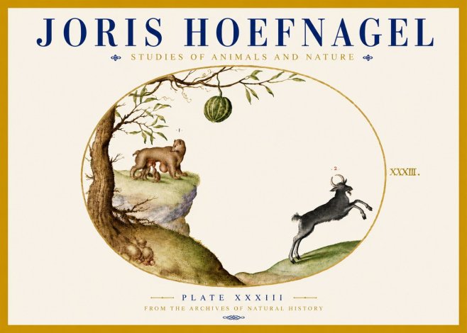 Joris Hoefnagel Plate Xxxiii No5 - Póster