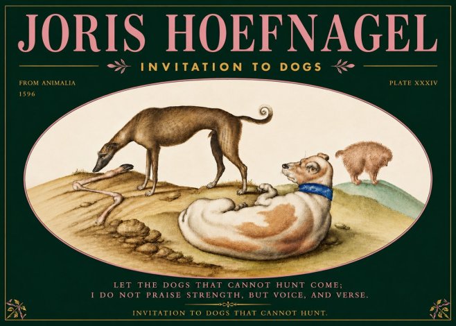 Joris Hoefnagel Invitation to Dogs No5 - Póster