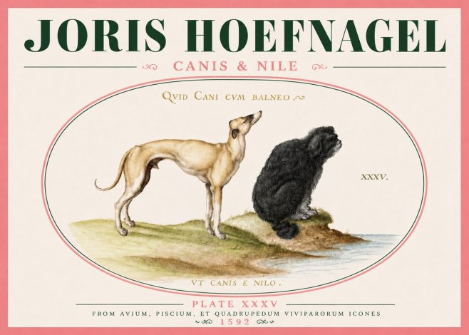 Joris Hoefnagel Neither Can a Dog Live in Baths No6 - Póster
