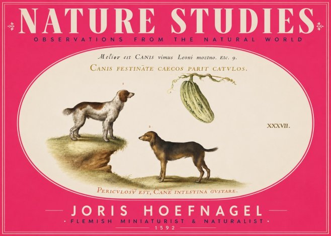 Joris Hoefnagel Canis Festinas Caecos Parit Catulos No5 - Póster
