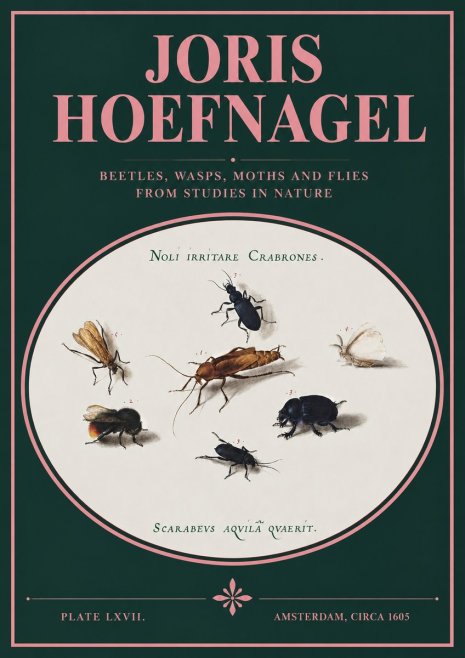 Joris Hoefnagel Scarabeus Aqvilä Qvaerit. No3 - Póster