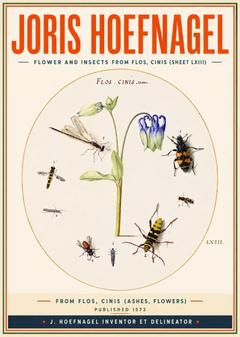 Joris Hoefnagel Insects and a Flower Study No4 - Póster