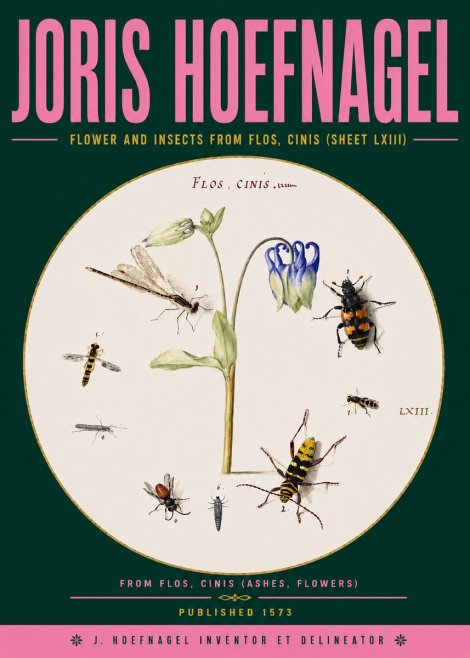 Joris Hoefnagel Insects and a Flower Study No6 - Póster