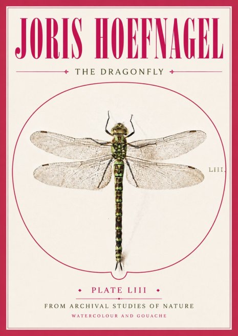 Joris Hoefnagel The Dragonfly No5 - Póster