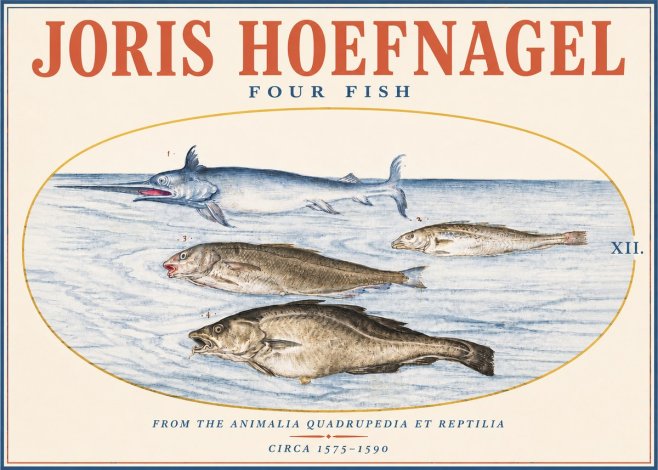 Joris Hoefnagel Four Fish No3 - Póster
