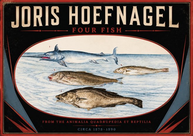 Joris Hoefnagel Four Fish No5 - Póster