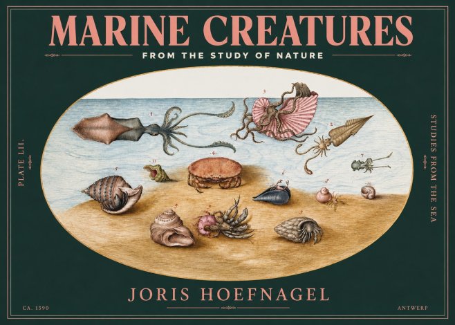 Joris Hoefnagel Marine Creatures - Plate Lii No3 - Póster