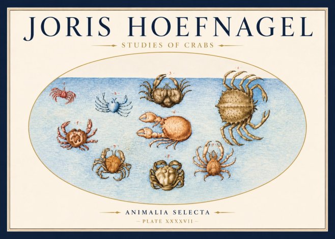 Joris Hoefnagel Studies of Crabs No3 - Póster