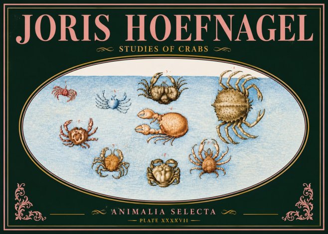 Joris Hoefnagel Studies of Crabs No5 - Póster