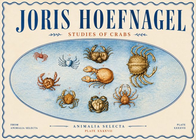 Joris Hoefnagel Studies of Crabs No6 - Póster
